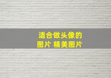 适合做头像的图片 精美图片